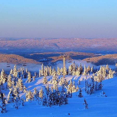 Sjusjoen Hytteutleie As Bagian luar foto