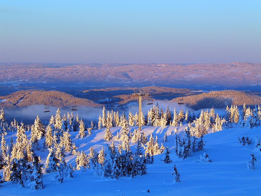 Sjusjoen Hytteutleie As Bagian luar foto