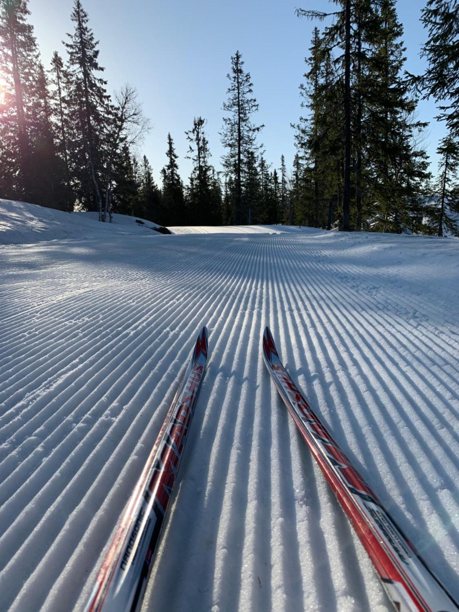 Sjusjoen Hytteutleie As Bagian luar foto