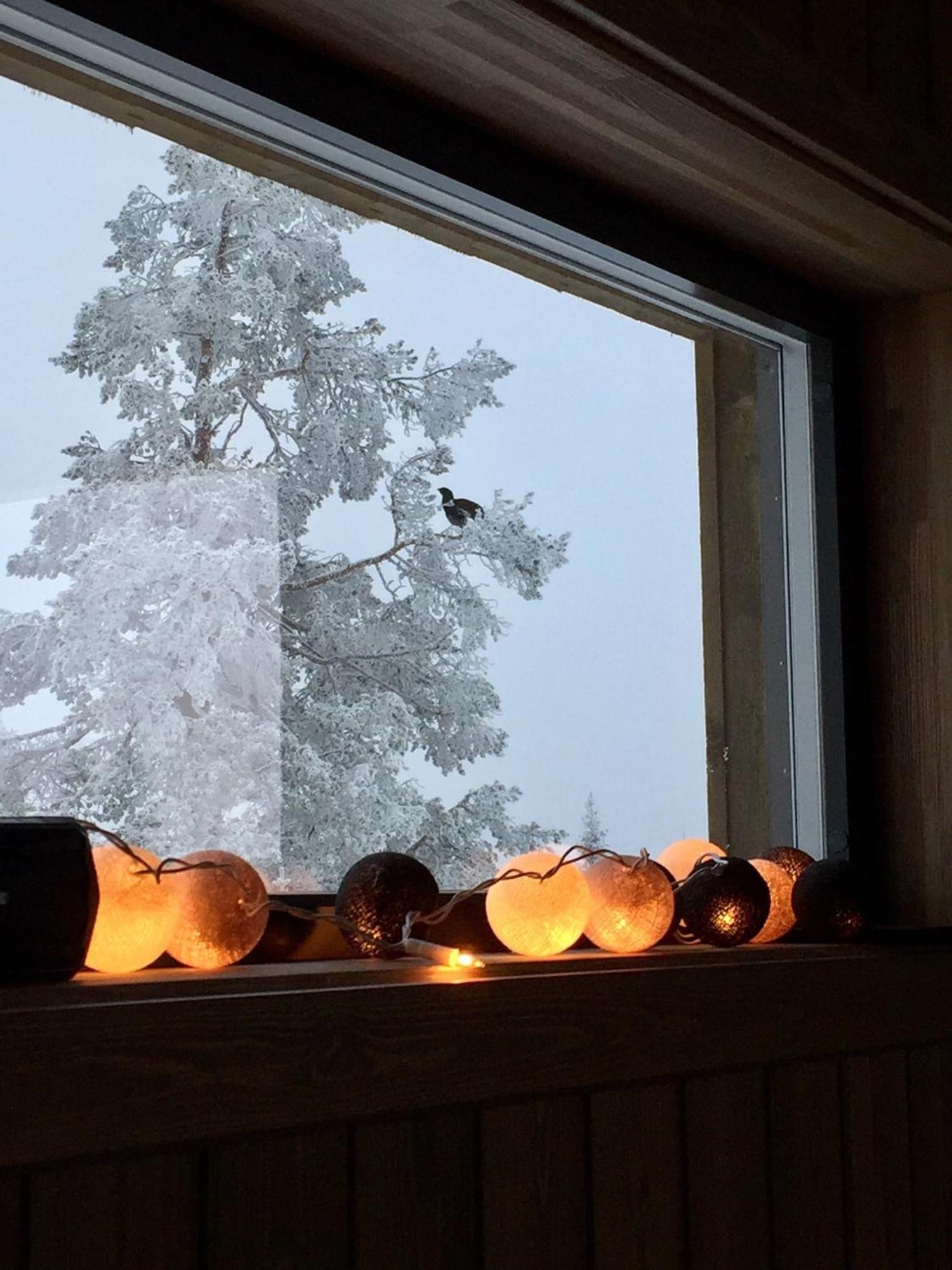 Sjusjoen Hytteutleie As Bagian luar foto