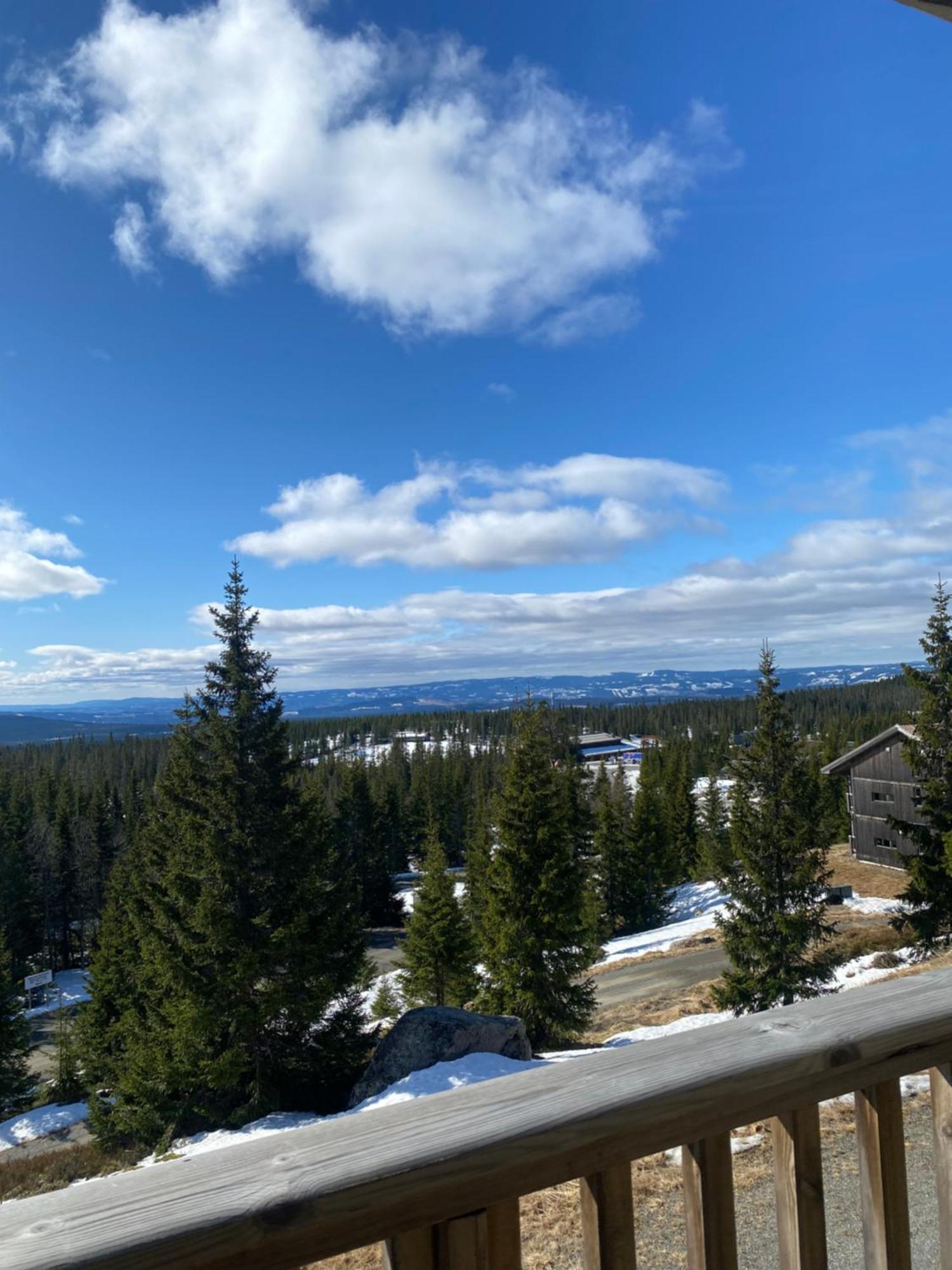 Sjusjoen Hytteutleie As Bagian luar foto